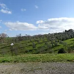 Podere Travagliola